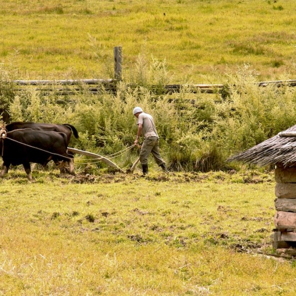 “Forgeranno le loro spade in vomeri e le loro lance in&nbsp;falci”
