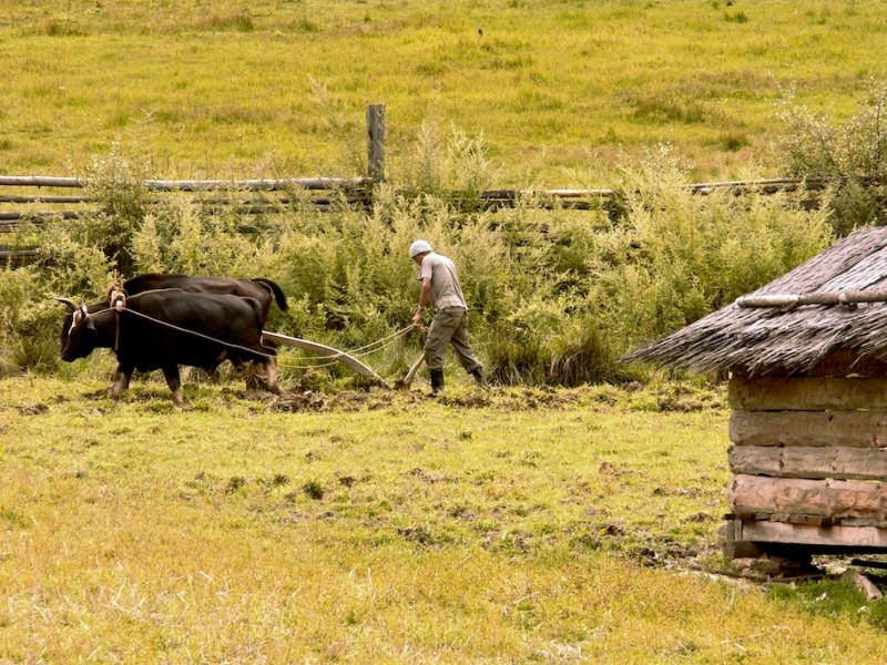 “Forgeranno le loro spade in vomeri e le loro lance in&nbsp;falci”