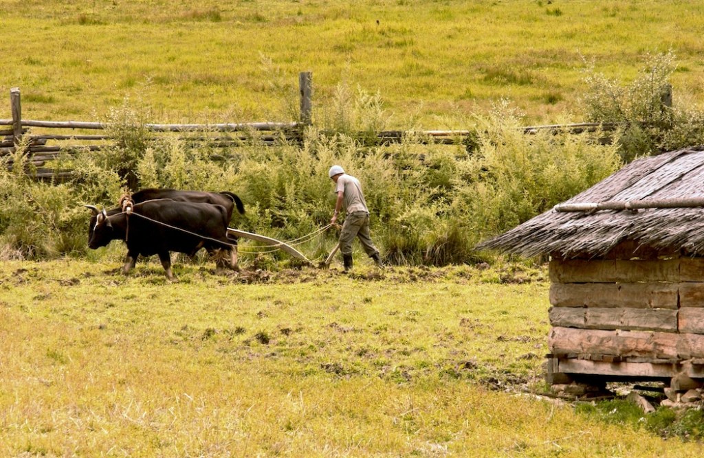 “Forgeranno le loro spade in vomeri e le loro lance in&nbsp;falci”